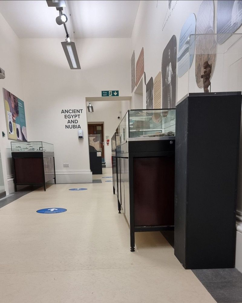 Cases in a museum gallery.
