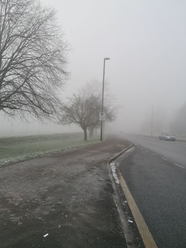Foggy Hearsall Common, Coventry 