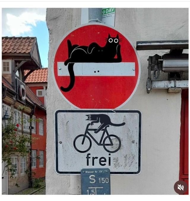 Traffic signs in Germany/Europe which have been "improved" with cats.  1 cat lounges on the white bar of a "no entrance" for cars sign while another cat rides a bike on a "frei" sign announcing bikes are allowed. 
