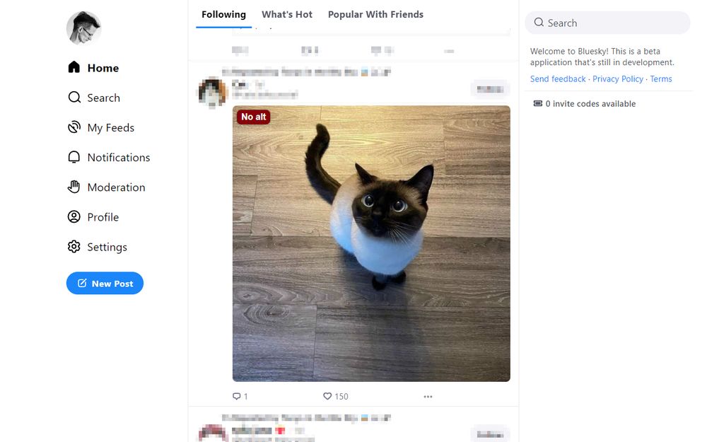 A photo in the timeline of a very cute cat looking up with big eyes. The image has no description and is labeled with a red "No alt" label in the upper left corner.