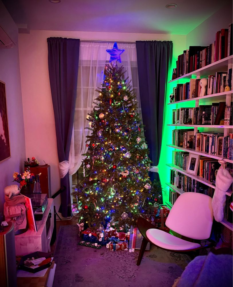 Our Christmas tree centred in front of the window in the library