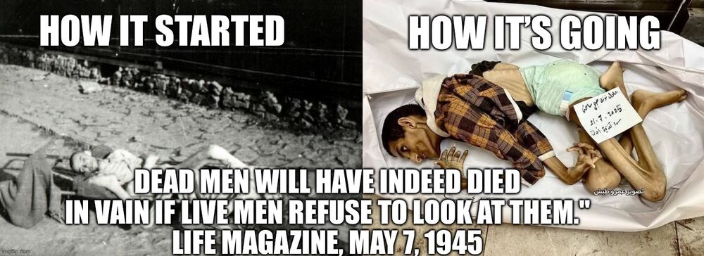 Picture of starved corpses. On the left, from the holocaust. In the right, from Israeli’s Palestinian genocide. 
Below is the quote:

Dead men will have indeed died in vain if live men refuse to look at them."
LIFE magazine, May 7, 1945