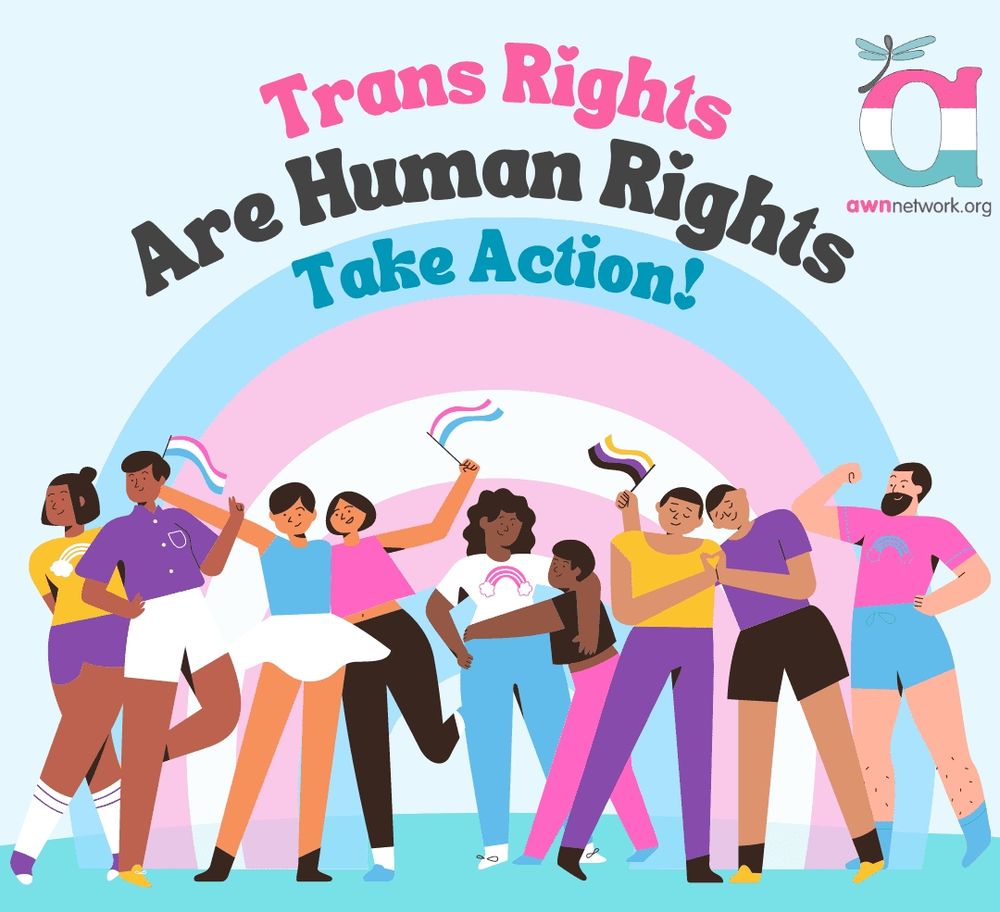 Trans rights are human rights - Take action!
(A poster with vector people and some trans flags)