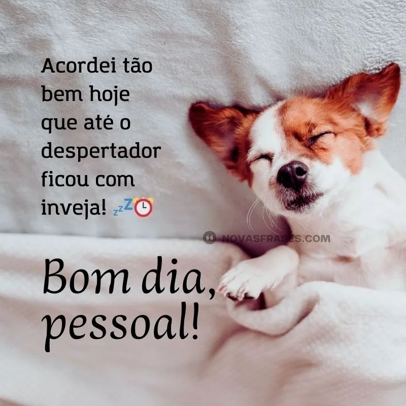 Um cãozinho branco e caramelo debaixo de uma cobertinha escrito: Acordei tão bem hoje com o despertador ficou com inveja! Bom dia, pessoal