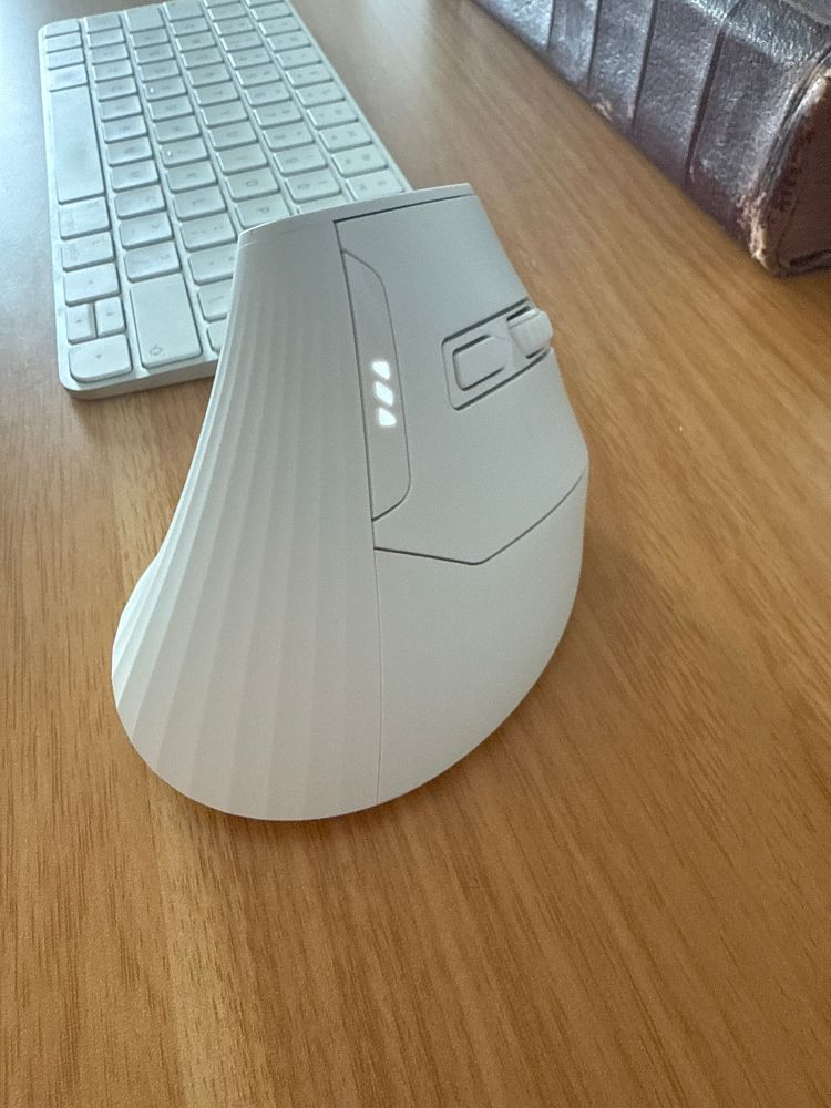 Photo of an upright mouse in white, on a desktop.