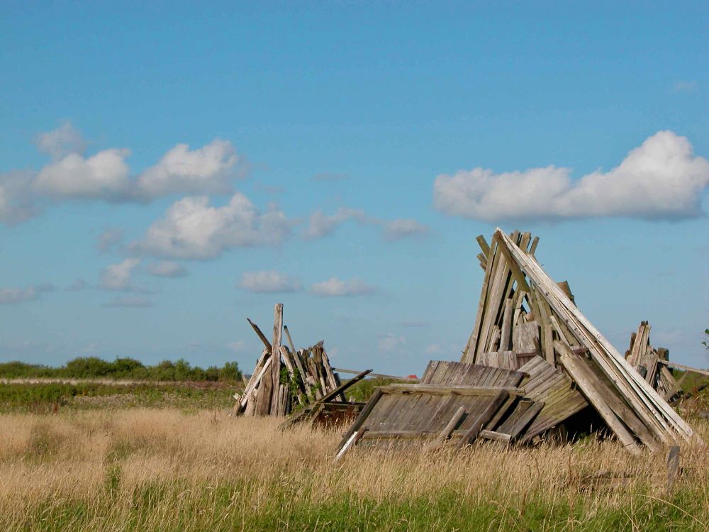 A fallen in chestnut barn in East Tennessee, photo taken by the poster.