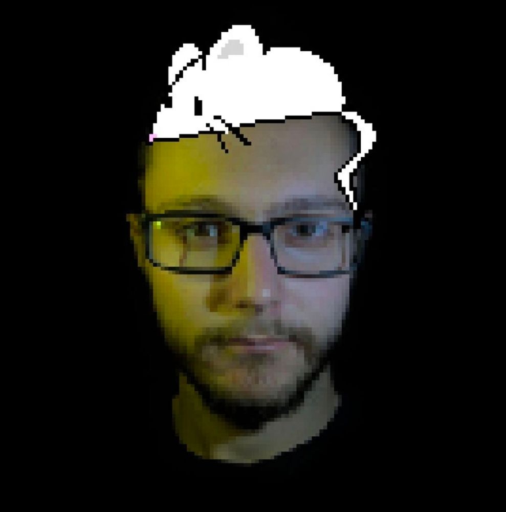 Pixelated rat hair robby