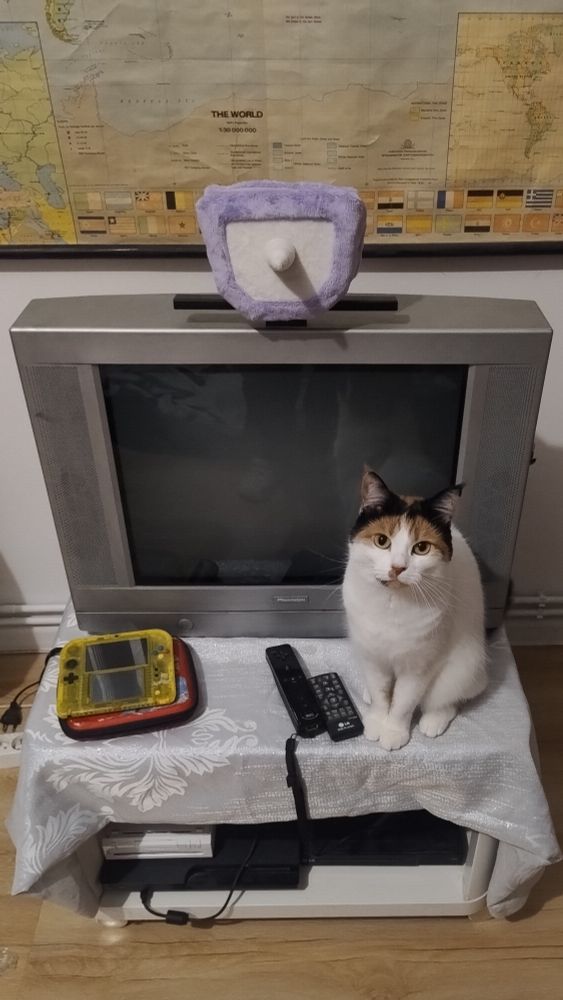 photo of a crt tv with a plushie head of tenna on top. in front of the tv are some game consoles and a cat