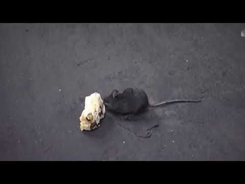 Pet Shop Boys - Home and dry (Official Video) [HD Upgrade]