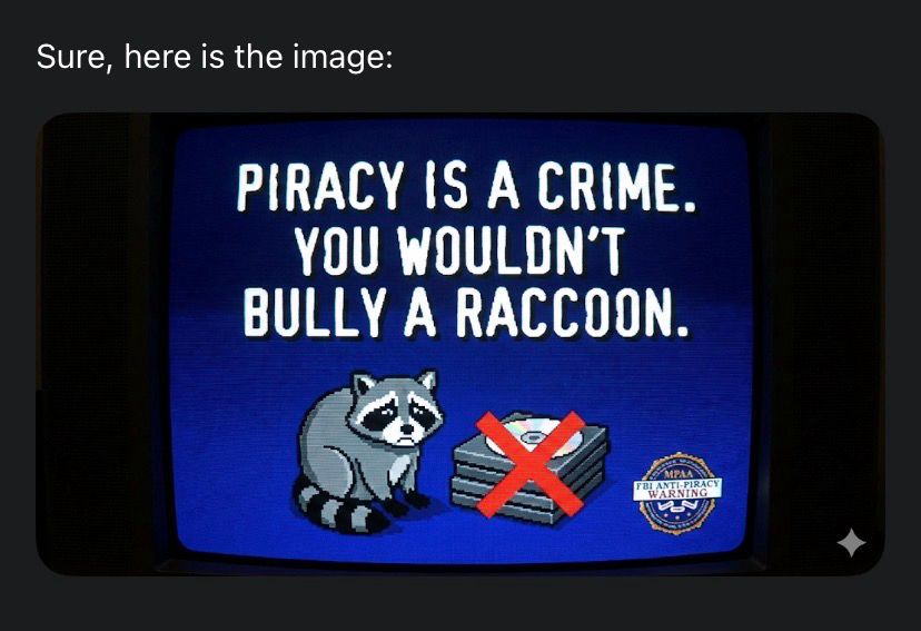 Don’t bully raccoons