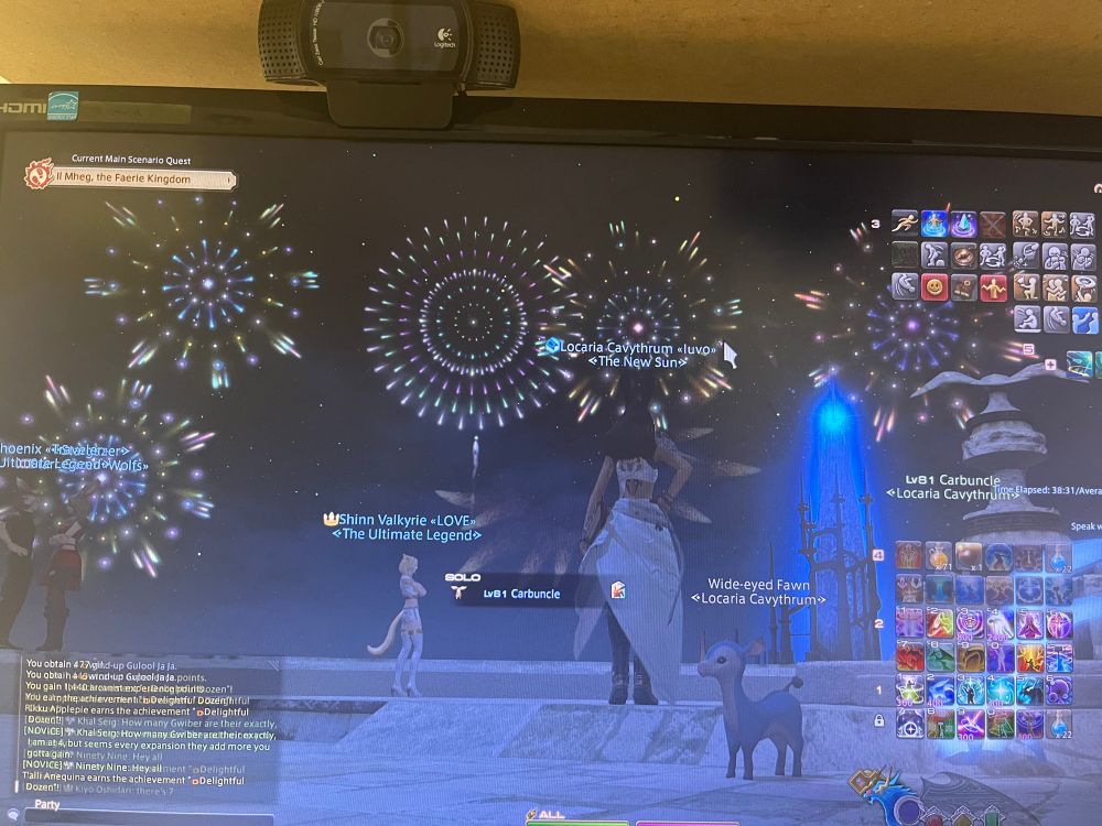 A photo of my wol watching the fireworks after the event ended. 