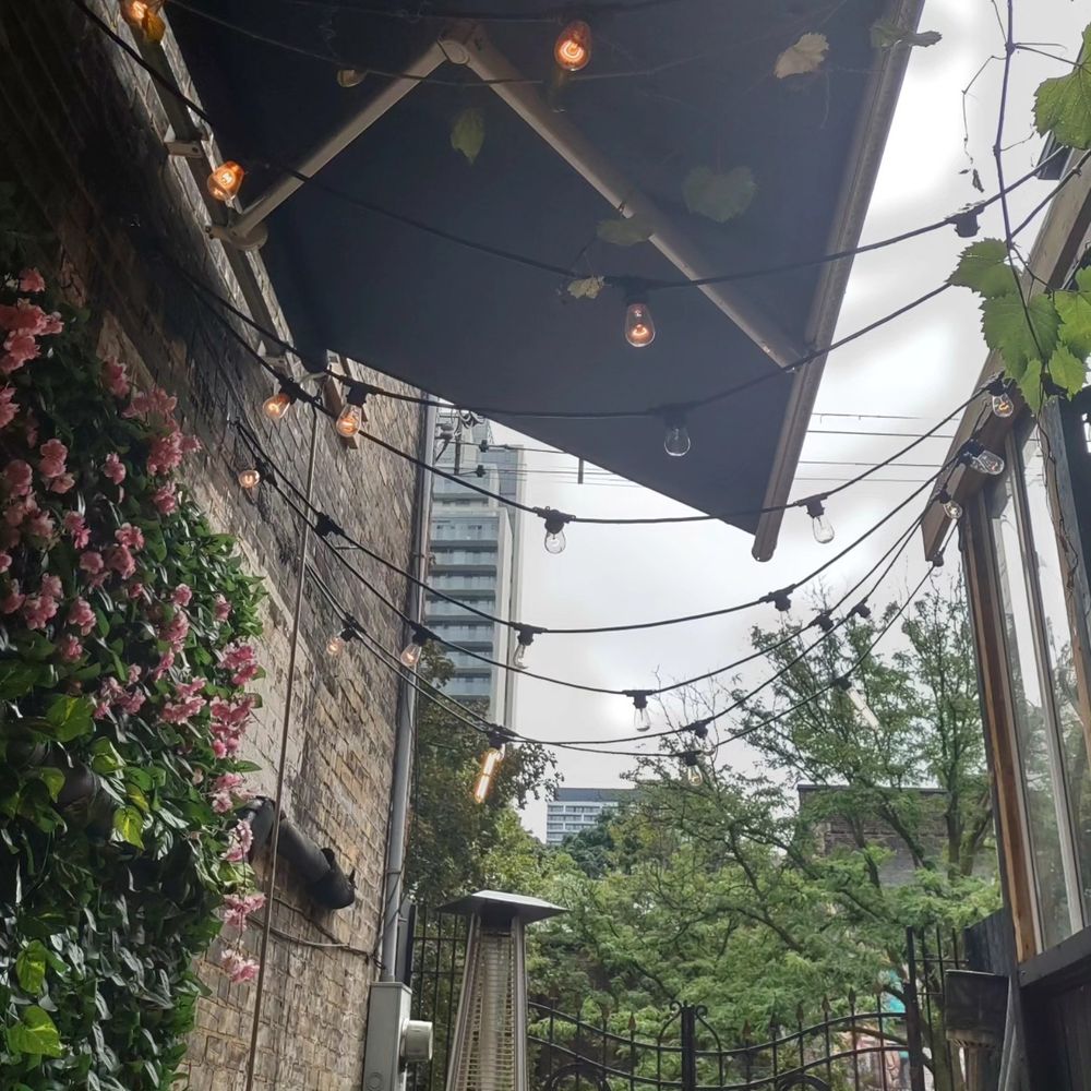 looking up from the table of a cute little back patio of a bar, with plants growing on either side, trees ahead, and an awning & patio string lights stretched overhead. the afternoon sky is grey but the greenery and the warm glow of the lights make things much prettier.