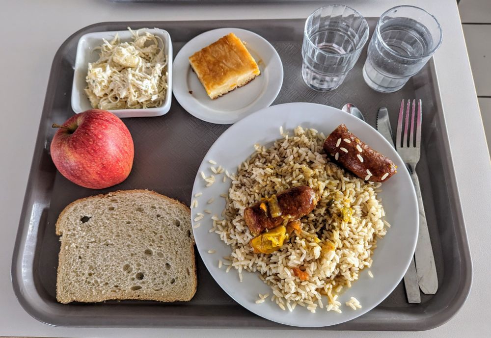 Plateau repas du RU. Entrée salsifis à la crème et à l'ananas. Plat : riz pilaf et rougaille de saucisse. Dessert : part de gâteau à la pomme et pomme.