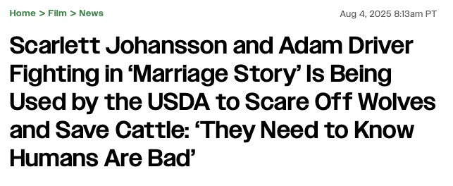 Variety headline: Scarlett Johansson and Adam Driver Fighting in 'Marriage Story' Is Being Used by the USDA to Scare Off Wolves and Save Cattle: 'They Need to Know Humans Are Bad'