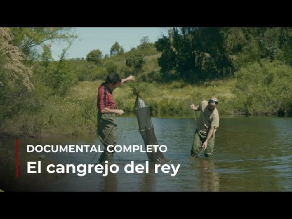 DOCUMENTAL COMPLETO | El cangrejo del rey
