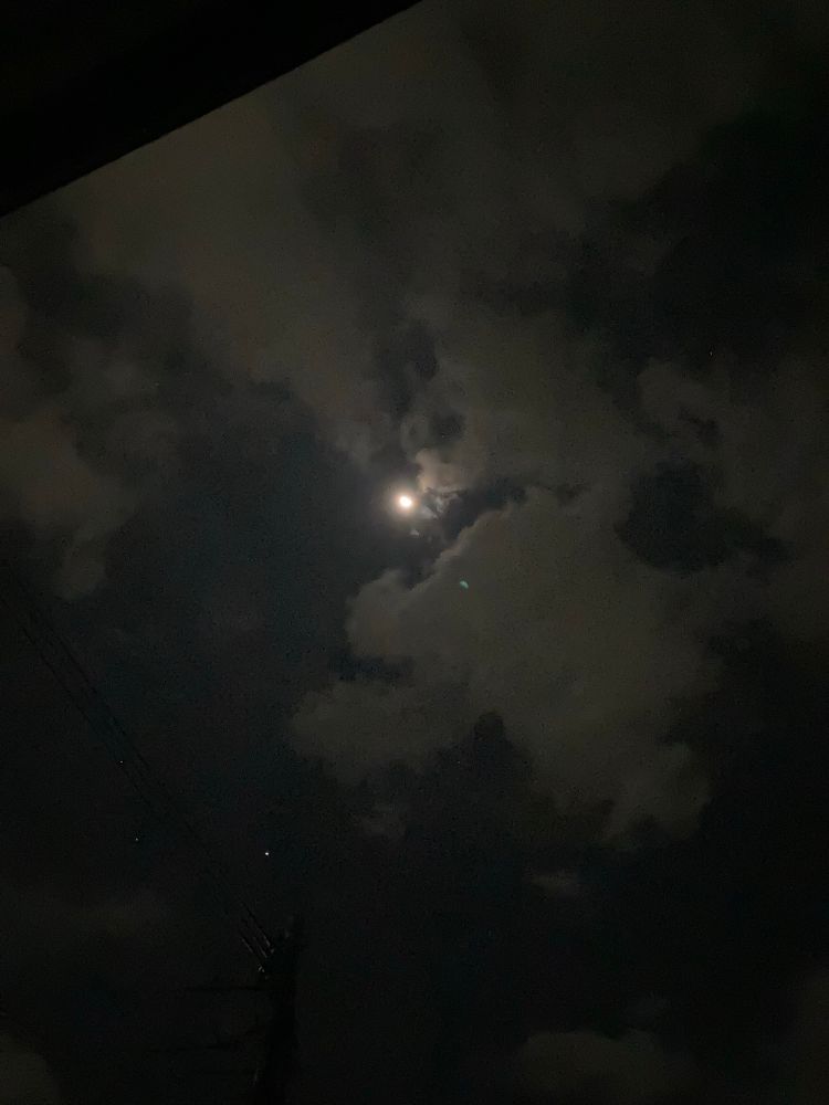 月の写真。三日月よりは少し太いと思う。