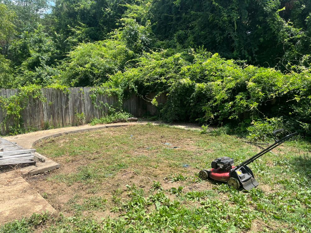Before, when it was just a sandpit and weeds
