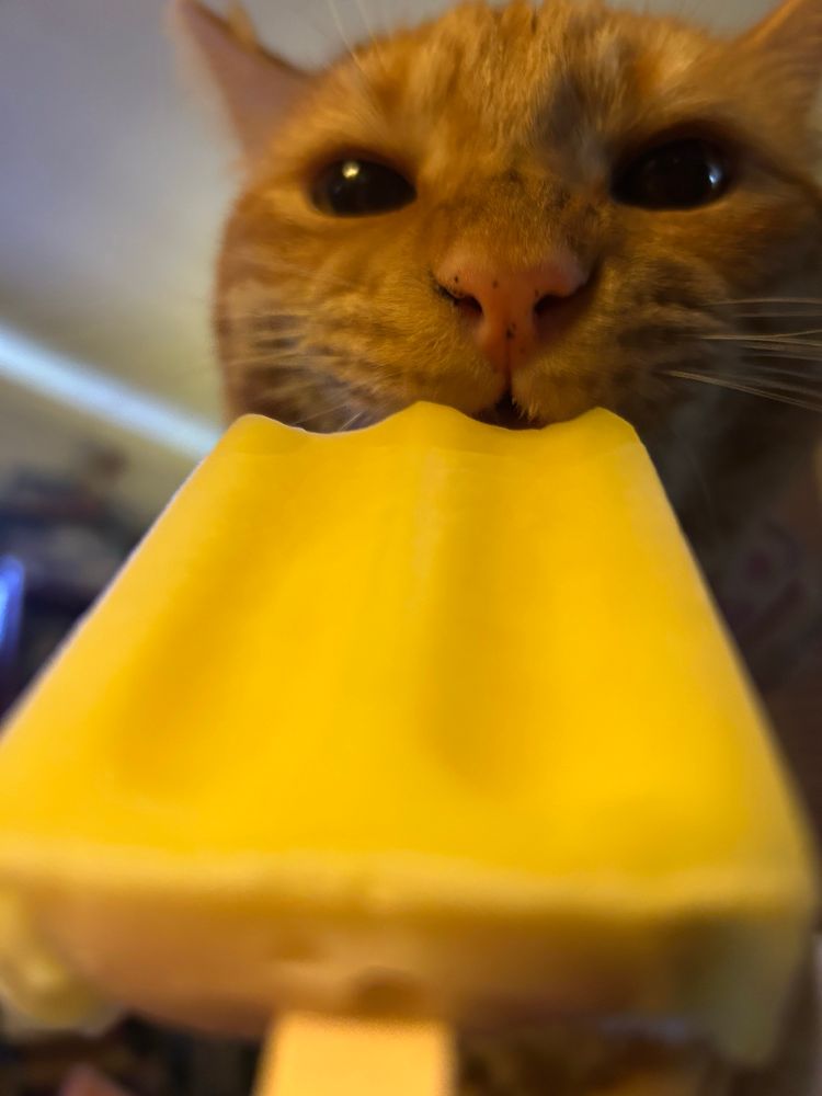 An orange cat eating a creamsicle.