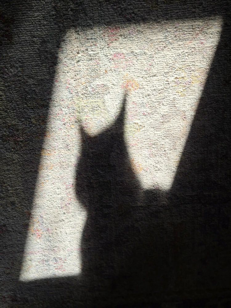 Catman!