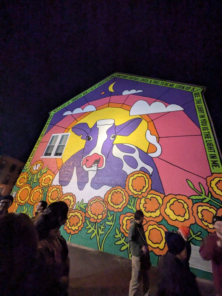 'My name is Jude. I was born on a farm with a cleft lip. Unwanted. Now I live at Lancaster farm sanctuary. I am safe, loved, & free to be me. Look up and see. The light in you is the light in me.'