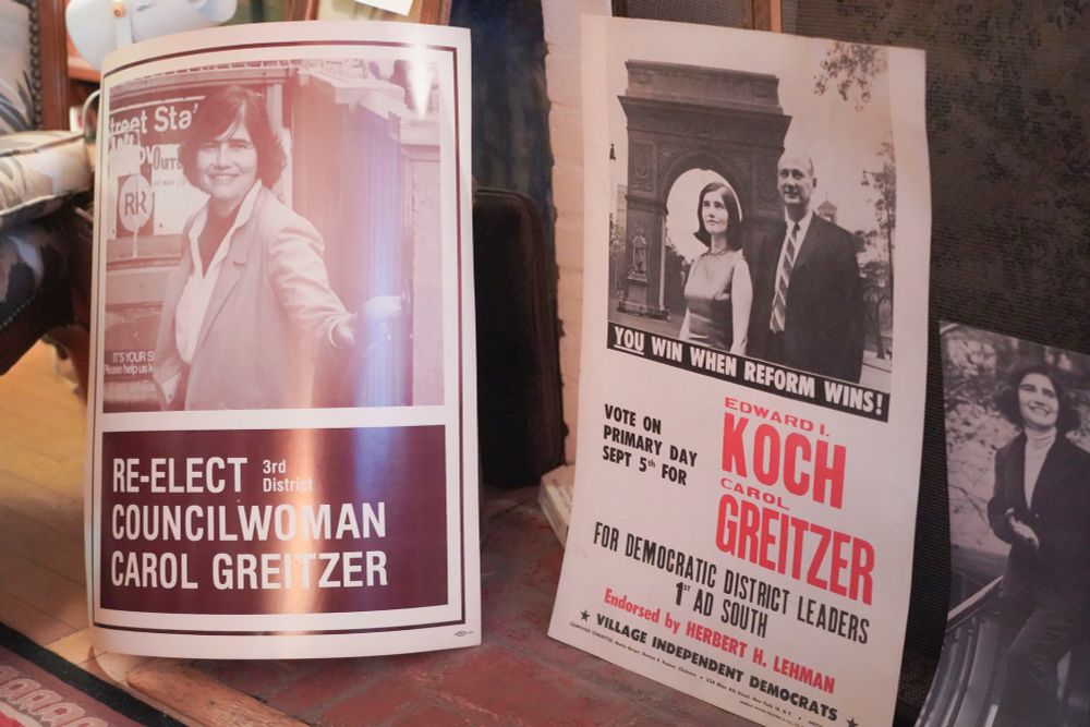old campaign posters for former council member greitzer's reelection campaign