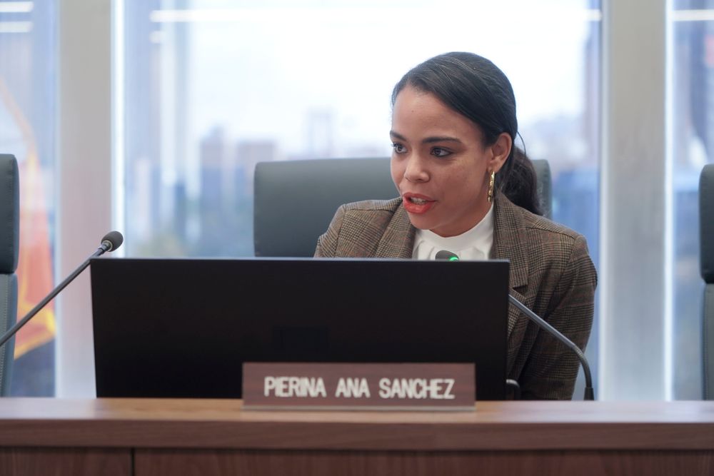Council Member Pierina Sanchez at a Committee on Land Use hearing in a committee room.
