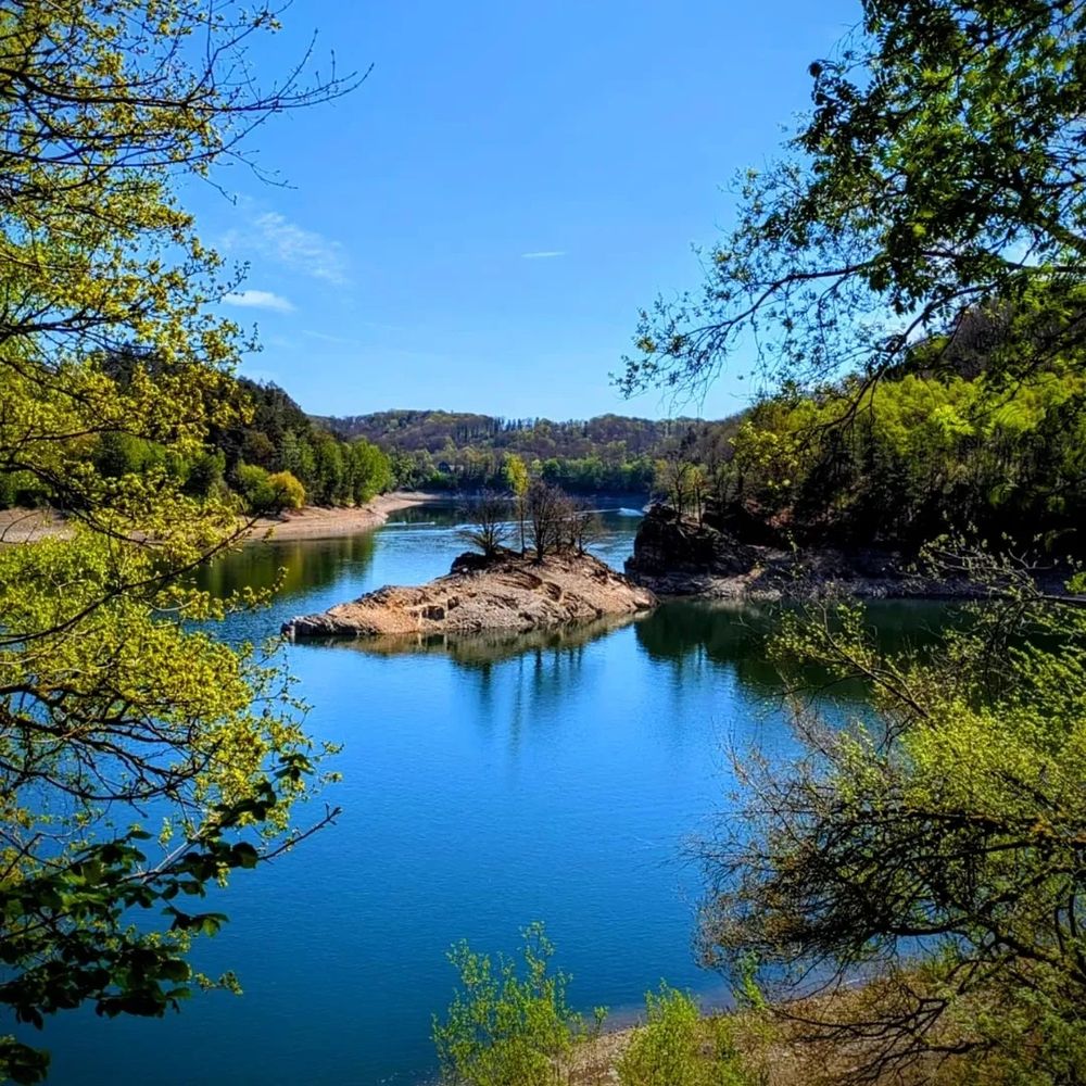 Absolutely buzzing from our latest hike🥾
From sunny dandelion fields to breathtaking lake views, every step was worth it. And what's a hike without your trusty companions?
Who's ready for their next adventure?🌲
