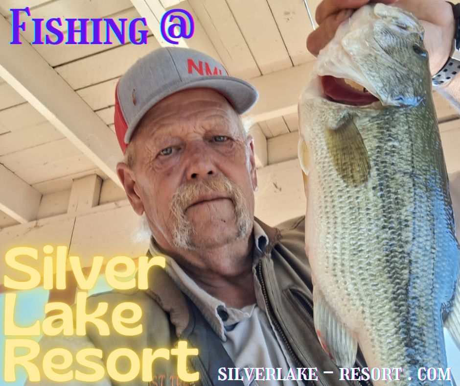 Whether you’re casting from our dock, our boats, or even the shoreline right outside your cabin, Silver Lake delivers that peaceful, reel-it-in kind of joy. Guests have pulled in bass, trout, catfish—even a few surprises!

Early mornings, mist on the water, and the chance to land the big one... this is fishing the way it’s meant to be.

📍 On Silver Lake | ⛰️ Near Mt. St. Helens
🛶 Boat rentals available | 🐟 Bring your gear or grab some at the shop

#SilverLakeFishing #CatchAndRelax #PNWGetaway #LakeLife #CampAndFish