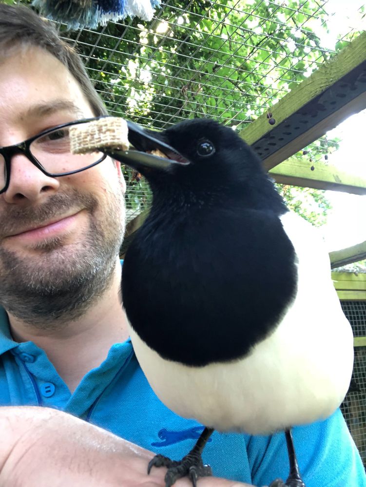Sophie sitting on my arm, with a mini shredded wheat in her beak