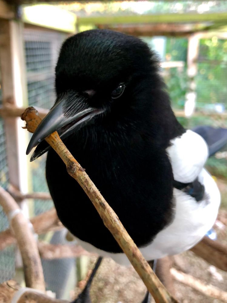 Sophie showing us a stick 