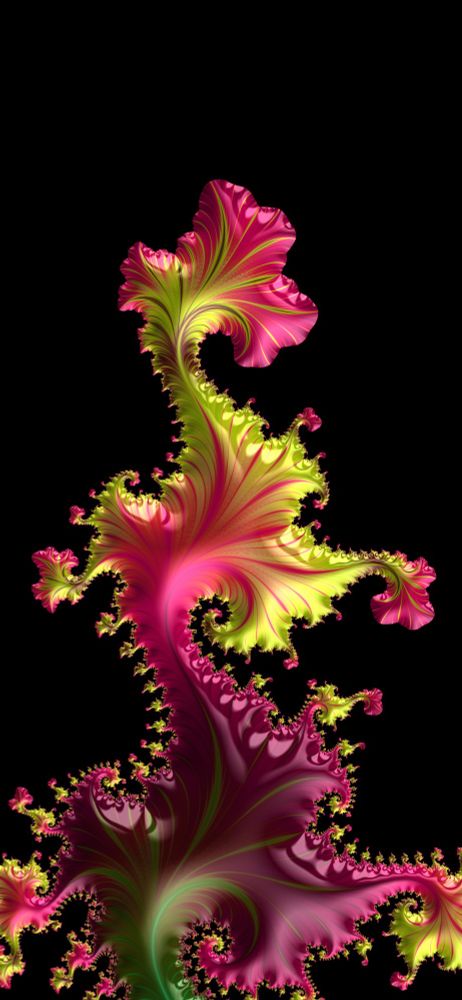 Arm of a Julia set fractal in yellow and pink on black background