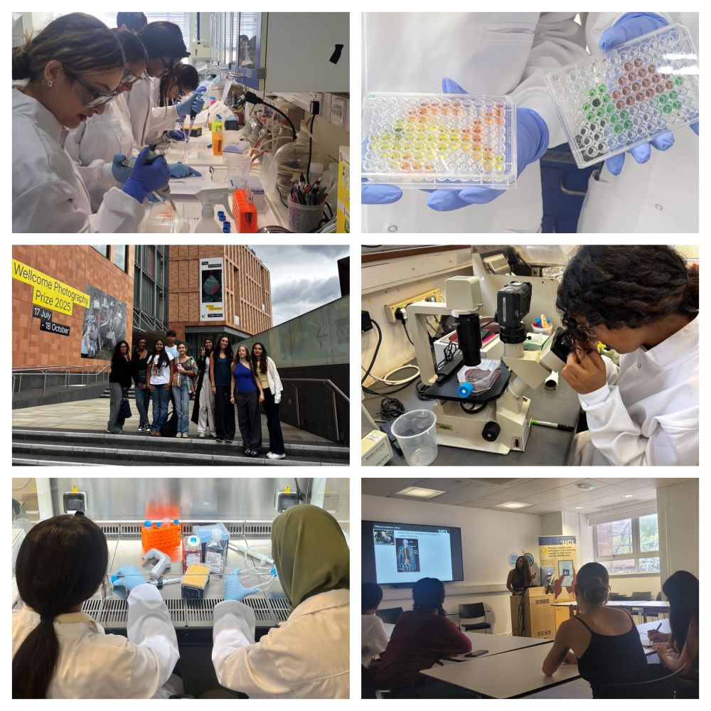 Work Experience Greensmith Lab 2025