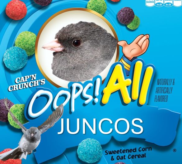 The front of a Cap'n Crunch's Oops! All Berries box, but it is edited to instead say "Oops! All Juncos" and instead of the captain's face there is a hastily edited picture of a Dark-eyed Junco, with a dark gray head, black eye, and pink beak. There is also a hastily edited photo of a junco in flight, showing off their white belly and white tail-edges. 