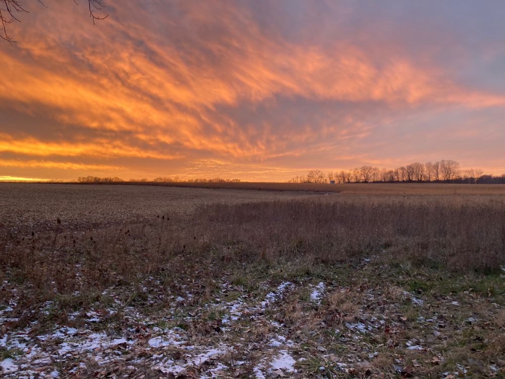 Cold brown field with warm orange and gray clouds above