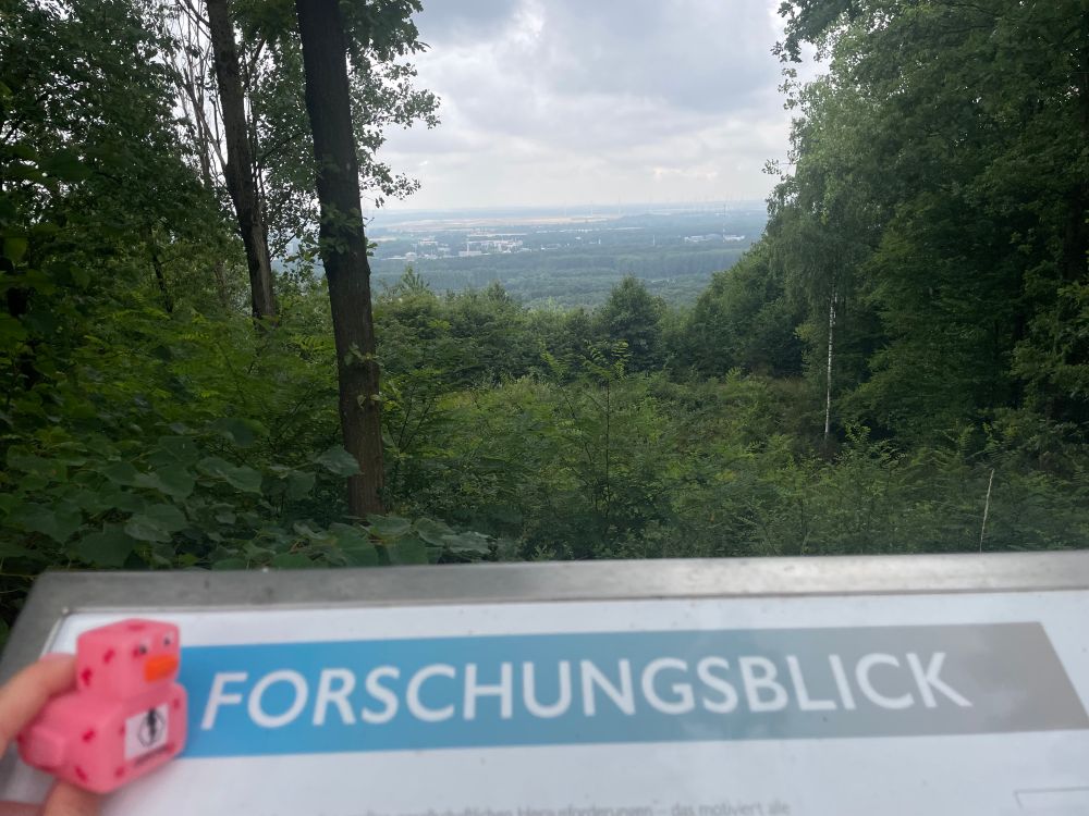 Again the pink duck, blurry, on the Forschungsblick sign
