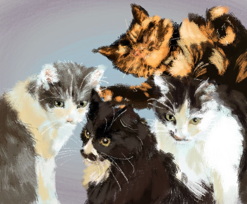 paintings of 4 cats. a mostly black long haired tuxedo cat in the middle, two gray and white cats on both sides, and a tortie cat sleeping in the upper right.