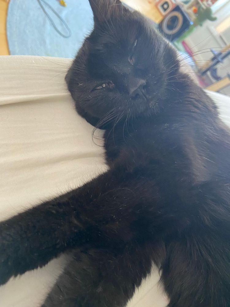 my sweet girl looking at me with one of her ears folded down