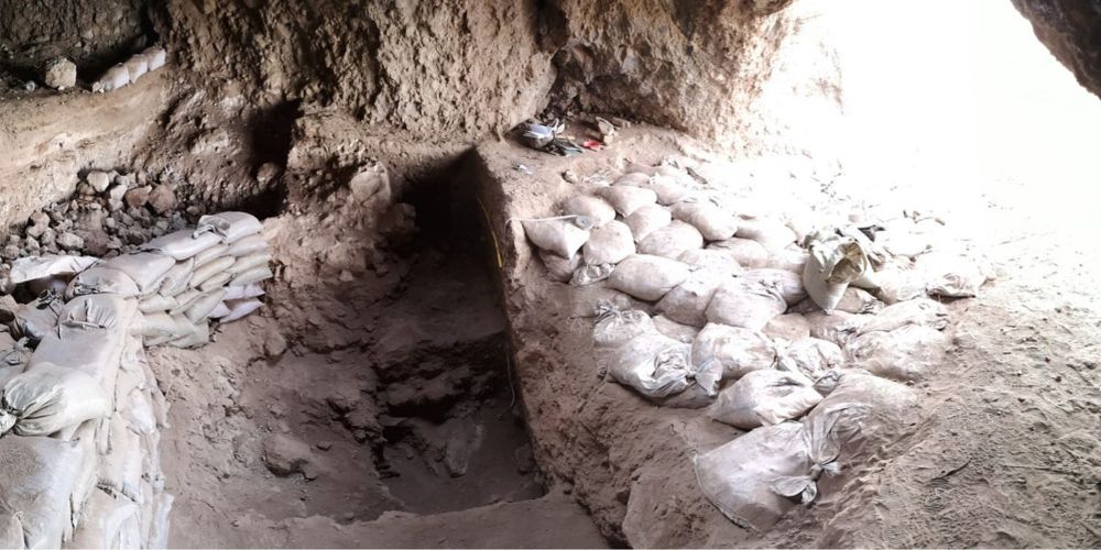 Evidence from Uzbekistan pushes the roots of cereal exploitation deeper into Asia—and challenges what we thought we knew about the origins of farming.