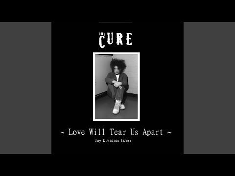 Love Will Tear Us Apart