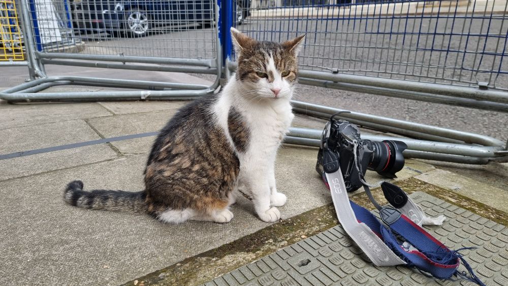 Larry the Cat sitting in front of a camera as if he was going to take a picture and giving Justin a "must I do everything" look. 