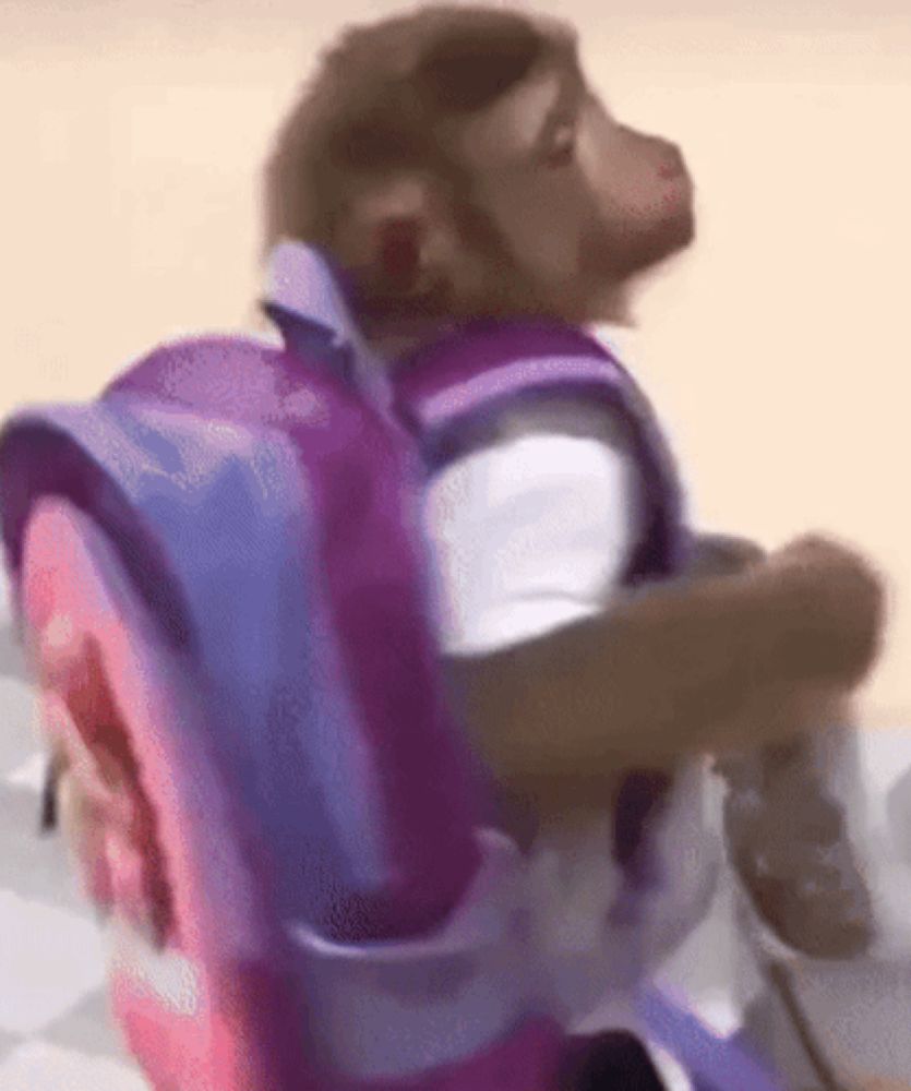 a monkey is carrying a pink backpack on its back