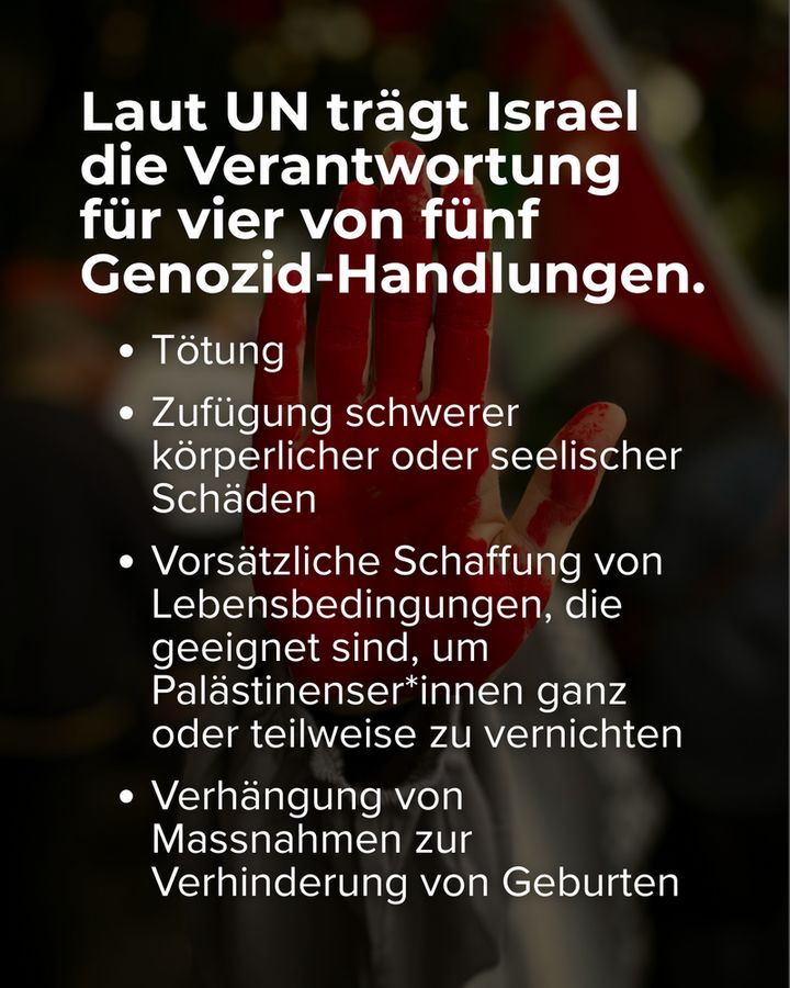 Die gleiche rote Hand im Hintergrund. Text auf dem Bild listet laut UN vier Genozid-Handlungen Israels im Gazastreifen auf: Tötung, schwere körperliche oder seelische Schäden, vorsätzliche Schaffung lebensfeindlicher Bedingungen, Verhinderung von Geburten.“