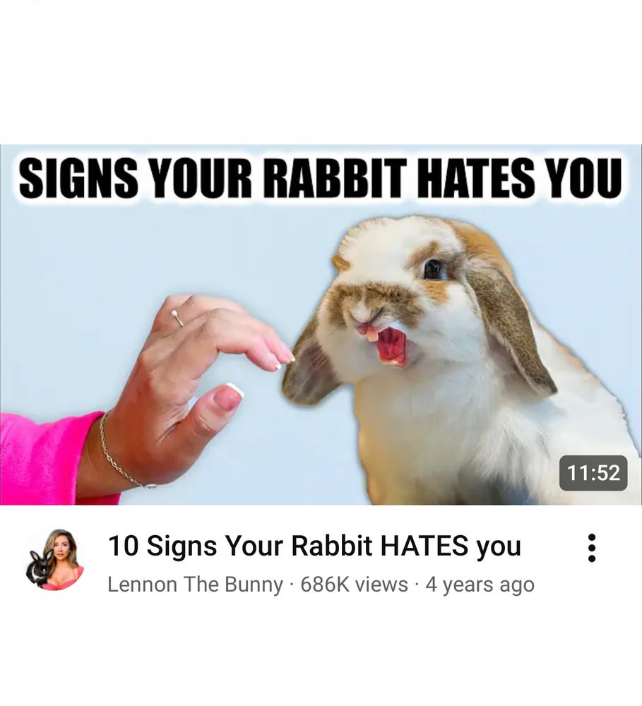 10 Signs your Rabbit HATES you by Lemon the Bunny on Youtube

Thumbnail is a very angy bnunununny