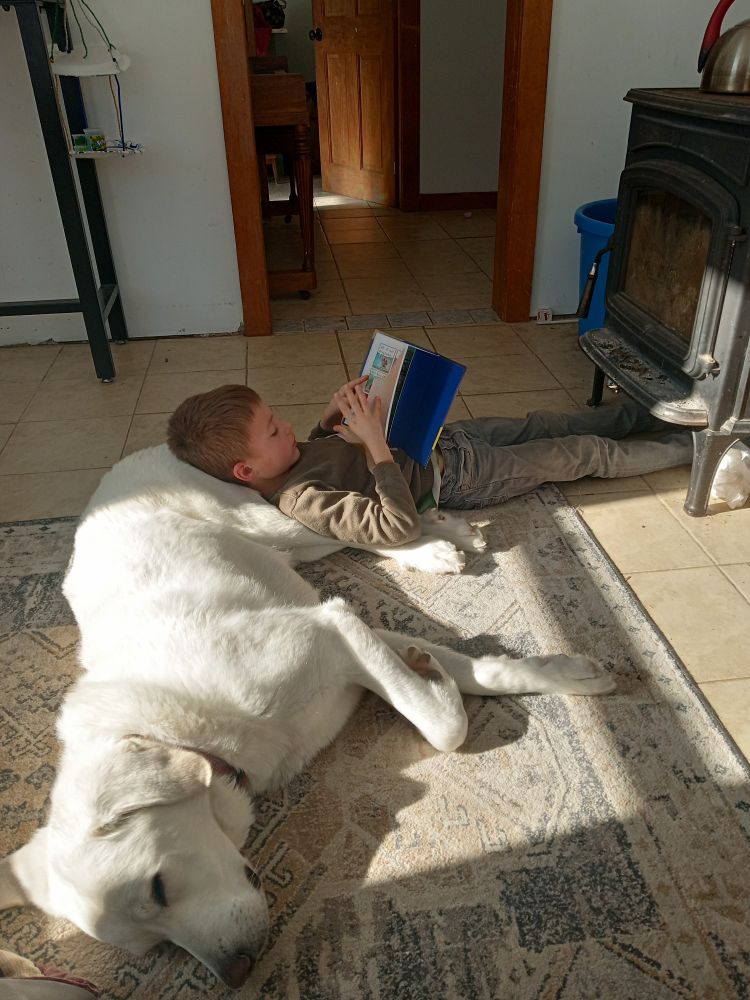 Child with his feet under a wood stove and head on the flank of a dog.