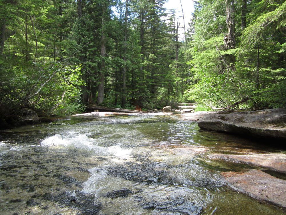 The creek will keep flowing: Insight on American politics from a camping trip