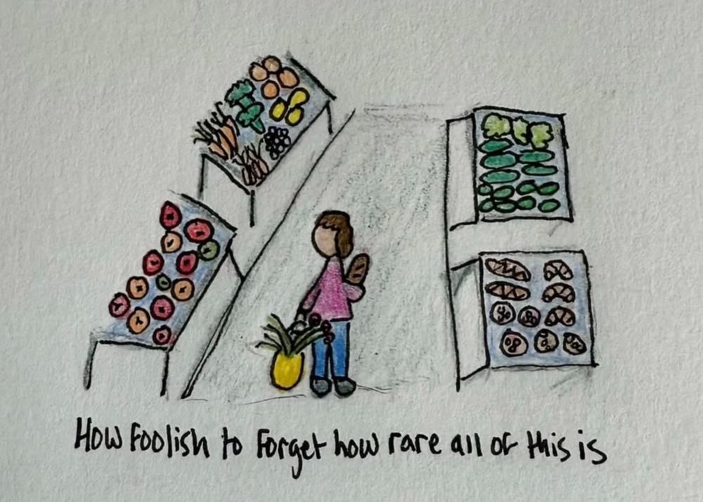 drawing of a person in a grocery store with text: "how foolish to forget how rare all of this is"

art by @sophia.joan.short on IG 