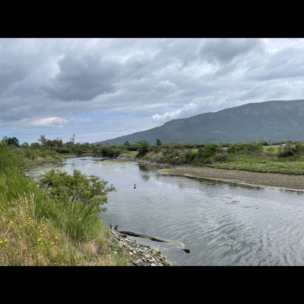 Cowichan estuary project surfaces questions from community