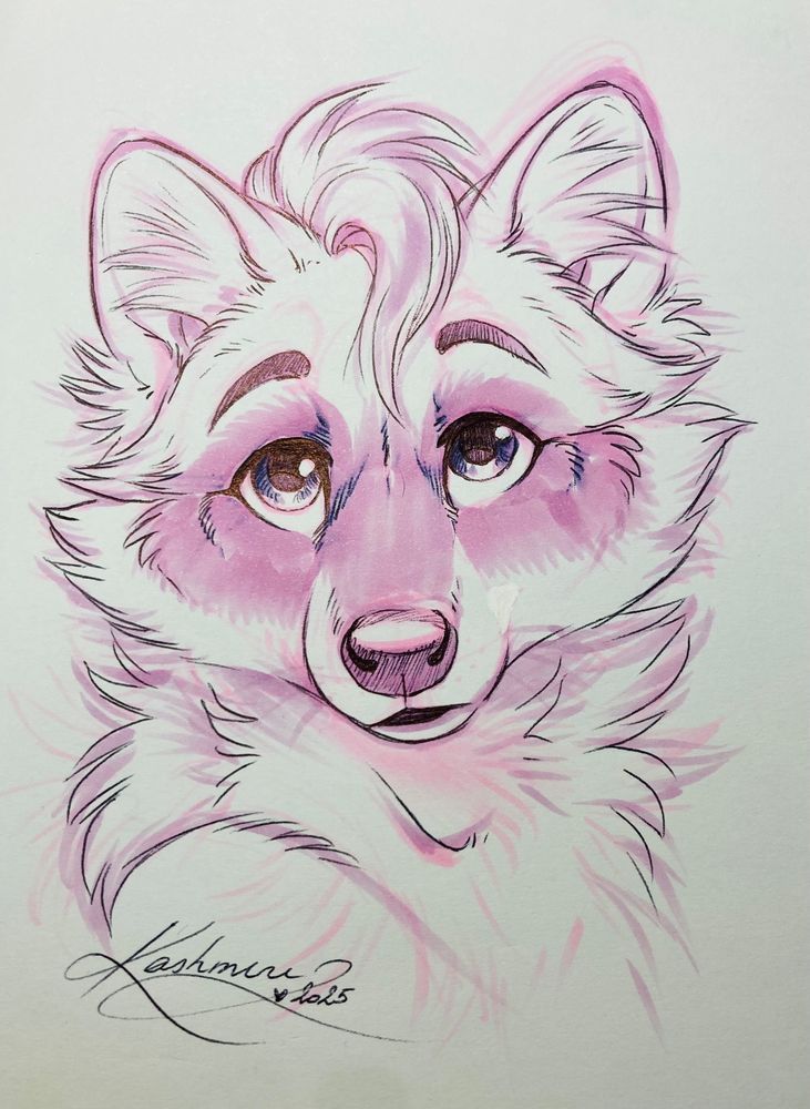 Surprised looking raccoon 