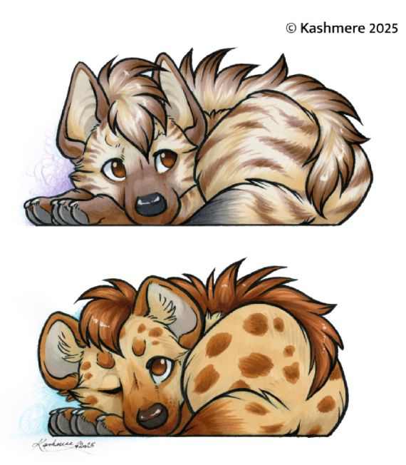 A striped hyena and spotted hyena chibi, laying on their paws, curled up