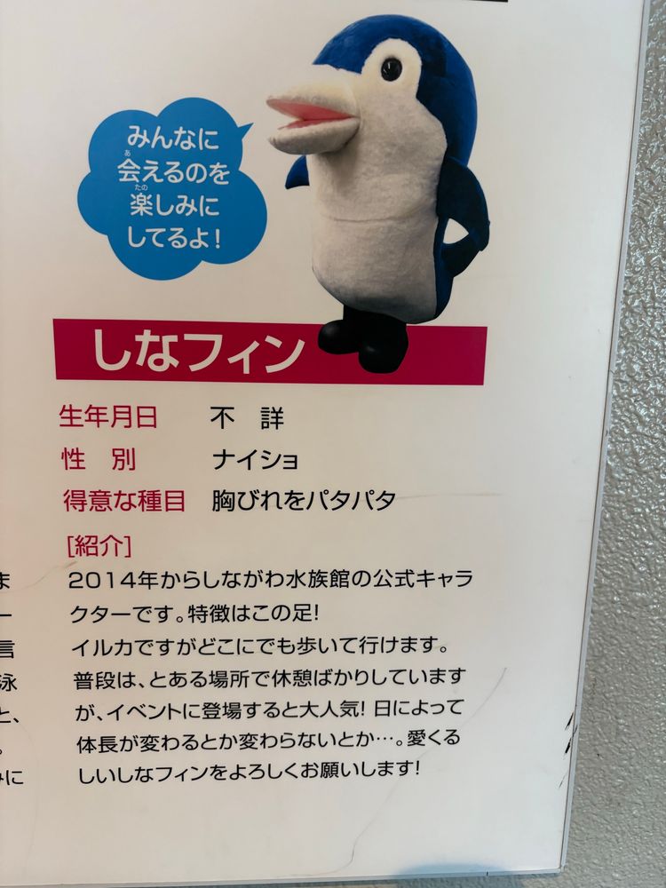 しながわ水族館公式キャラクター、しなフィンの紹介。青と白の着ぐるみのイルカの紹介文が「2014年からしながわ水族館の公式キャラクターです。特徴はこの足！　イルカですがどこにでも歩いて行けます。普段は、とある場所で休憩ばかりしていますが、イベントに登場すると大人気！　日によって体長が変わるとか変わらないとか…。愛くるしいしなフィンをよろしくお願いします！」となっている。